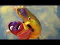 LARVA SEASON 1 EPISODE 107 | HILARIOUS CARTOONS COMPILATION | ANIMATED MEMES #2