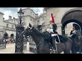 Lady Police Confronts Stupid Tourist Disobeying Orders.