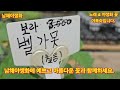 1485회. 남해야생화에 아름다운 꽃보러 놀러오세요 너무 아름다워요.