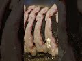 cooking bacon in the morning