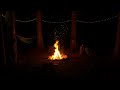 4K HDR Campfire in the Woods - Crackling Fire & Cricket Sounds - Relaxing Nighttime Camping Ambiance