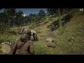 Red Dead Redemption 2 Funny Horse spawn