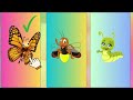 Learn Insects | Insects | Quiz | Kids Learning | guess the Insects | Butterfly | Bee | Mosquito |
