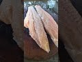 Fish Butcher: Cutting and Filleting