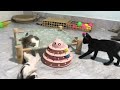 Funniest Cats And Dogs Videos 2024😺New Funny Animals videos 🐾🐶