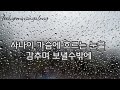 사랑이 지면 | 가수 조항조 님 | Lyrics 가사