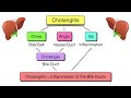 Cholecystitis vs Cholelithiasis vs Cholangitis vs Choledocholithiasis [Nursing, USMLE]