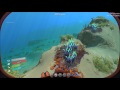 Subnautica | Part 24