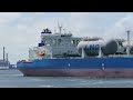 Shipspotting Rotterdam  08-2023 .    45 minutes awesome footages of ships of all shapes and sizes