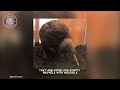 Kiwi 🥝 The Furry Bird with Whiskers! | 1 Minute Animals