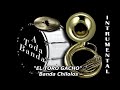 A PURA BANDA  MIX  10 EXITOS INSTRUMENTALES PEGADITOS CON VARIAS BANDAS