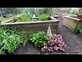 July Garden Tour 2022