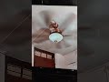 ceiling fan faling down compilation