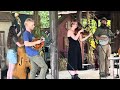 Little log cabin by the sea-clinch river ramblers