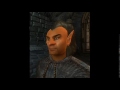 The Elder Scroll IV Oblivion Wood Elf Grunts