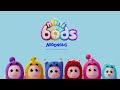 Paint Mix Fix | Minibods | Preschool Cartoons for Toddlers