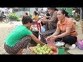 Harvesting Guava Fruit Goes to the market sell - Making garden - Lý Thị Ca