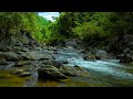 Harmony of Nature The Calm Power of Streams and Buzzards