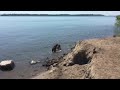 Cherry Beach Dog Park