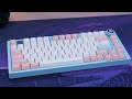 I Tried The Most Popular Keyboard on YouTube... (Leobog Hi75)