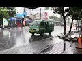 Super heavy rain and strong winds in my village | thunderstorm | fall asleep to the sound of rain