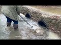 UNCLOGGING CULVERTS WITH RUSHING WATER DURING RAIN 02/2024 NT#35