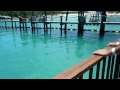 Dolphin Blue Lagoon 2013