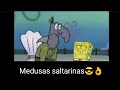 Medusas saltarinas😎👌