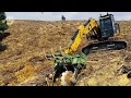 Extreme Heavy Duty Harvesting AND Woodland Clearing Machines In Action