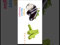 160 Vegetables Name: Part- 01 #allvegetables #vegetablenames #vegetablesenglish #vegetables