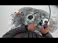 Really Fun Walleye Bite | Ice Fishing