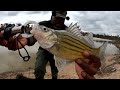 FISHING with a MICRO LURE will make THIS HAPPEN when fishing for WHITE BASS