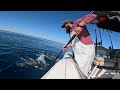 Fishing Oil Rigs 100 Miles Offshore On A 24' Boat For Dinner! *Catch&Cook*