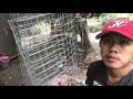 Rabbit farming Phil.| double holes rabbit cage with grass feeder(1st time ko gumawa)