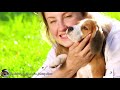 Relaxing Tunes for Dogs | Calm Your Pet’s Anxiety | Collection of relaxing melodies for dogs!