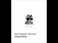 Boris Brejcha - Raccoon (Unreleased) [Studio Preview 2022]