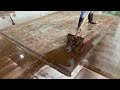 You have not seen such a dirty carpet  |  the brown water was flowing almost like mud constantly!