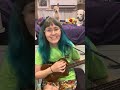 Chihuahua crashes my ukulele cover of “I write sins not tragedies” by Panic! At The Disco