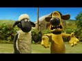 Timmy's Best Episodes Shaun the Sheep Season 5