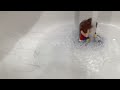 Part two of Lego Mario in water