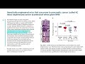 NAD+ in Aging: Role of Nicotinamide Riboside and Nicotinamide Mononucleotide