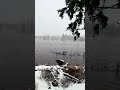 Winter walk in dreamy landscape (ASMR)