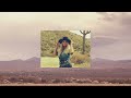 Miranda Lambert - Country Money (Official Audio)