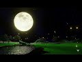 Moonlight Magic l  Chill Instrumental Music [ Relaxing ~ Peaceful ~ Unique Music ]