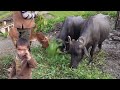 Best Life in Nepali mountain Village During The Rainy season | Best documentary Video By VillageLife