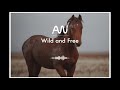 Inspirational Background Music  - Wild and Free (Original by Micah Bratt)