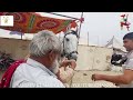 बिकाऊ घोड़े - पार्ट 29 Balotra Horse Market 2024 Tilwada Pashu Mela Horse Sale Price Video