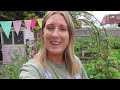 HAVE YOU SEEN ANY BEES? / ALLOTMENT GARDENING UK