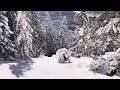 Snowshoe climbing a mountain in winter