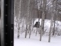 Argo 8x8s with snow tracks riding in Wyoming
